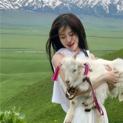 3:戴尔·恩哈特的故事 海报