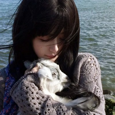 爱欲情狂 海报